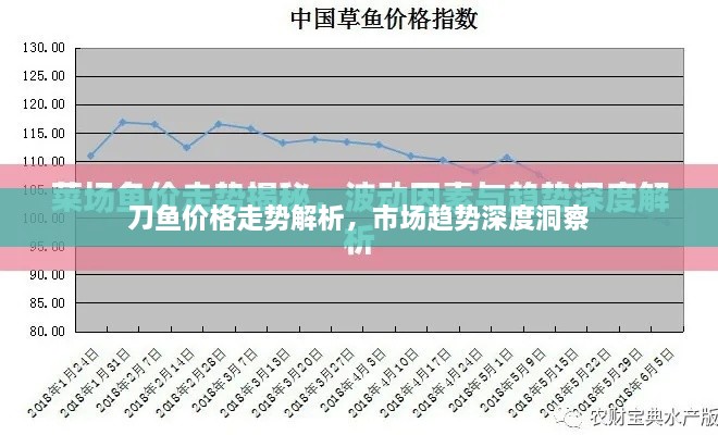 刀鱼价格走势解析，市场趋势深度洞察