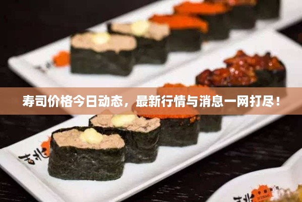 寿司价格今日动态，最新行情与消息一网打尽！
