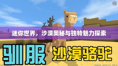 迷你世界，沙漠奥秘与独特魅力探索