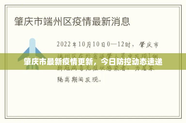 肇庆市最新疫情更新，今日防控动态速递