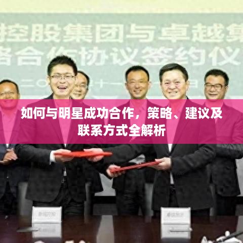 如何与明星成功合作，策略、建议及联系方式全解析