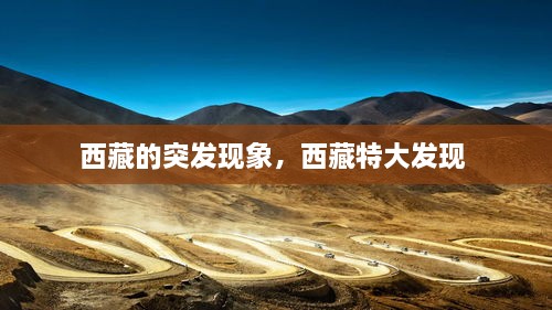 西藏的突发现象，西藏特大发现 