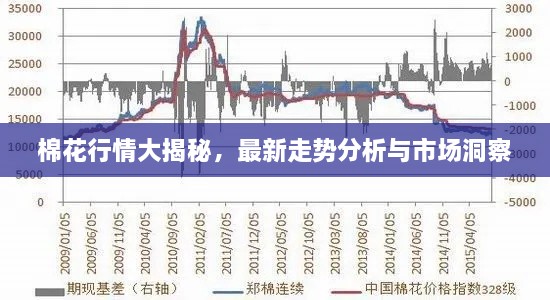 棉花行情大揭秘，最新走势分析与市场洞察