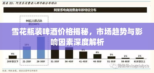 雪花瓶装啤酒价格揭秘，市场趋势与影响因素深度解析
