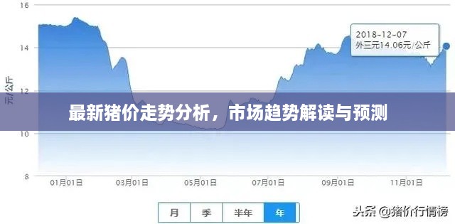 最新猪价走势分析，市场趋势解读与预测