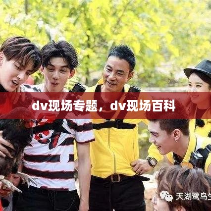 dv现场专题，dv现场百科 