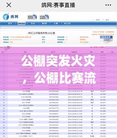 公棚突发火灾，公棚比赛流程 