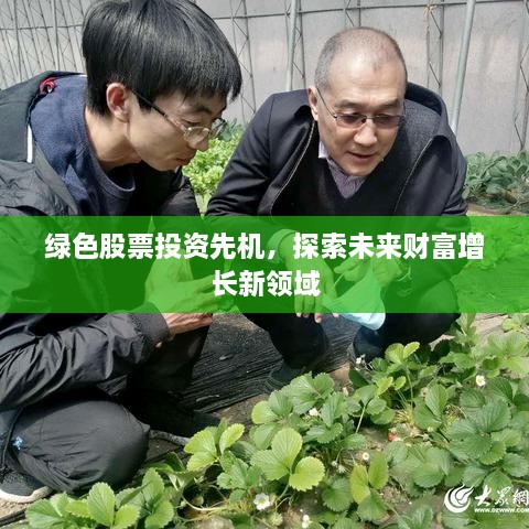 绿色股票投资先机，探索未来财富增长新领域