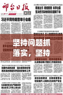 坚持问题抓落实，坚持问题导向 整改落实 