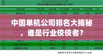 中国单机公司排名大揭秘，谁是行业佼佼者？