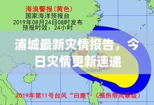 浦城最新灾情报告，今日灾情更新速递