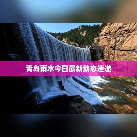 青岛雨水今日最新动态速递