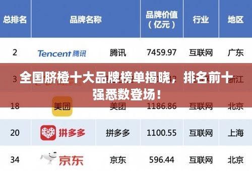 企业动态 第55页