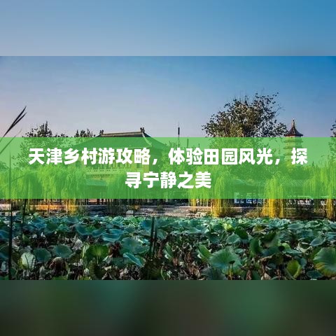 天津乡村游攻略，体验田园风光，探寻宁静之美