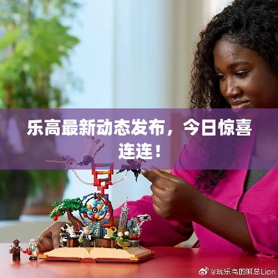 乐高最新动态发布，今日惊喜连连！