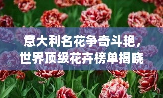 百灵鸟 第50页