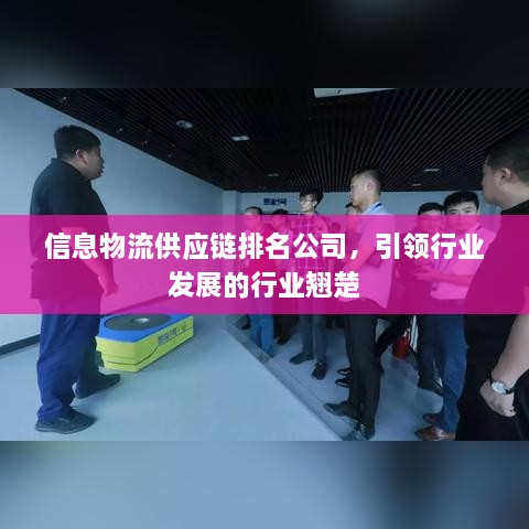 信息物流供应链排名公司，引领行业发展的行业翘楚