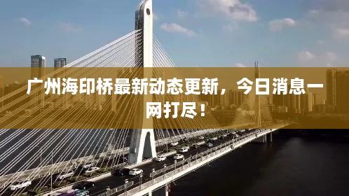 广州海印桥最新动态更新，今日消息一网打尽！
