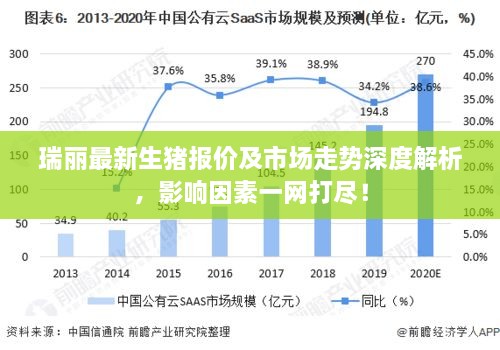 瑞丽最新生猪报价及市场走势深度解析，影响因素一网打尽！