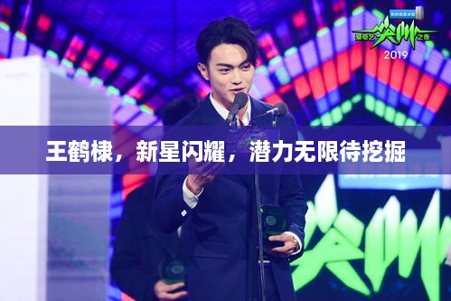 王鹤棣，新星闪耀，潜力无限待挖掘