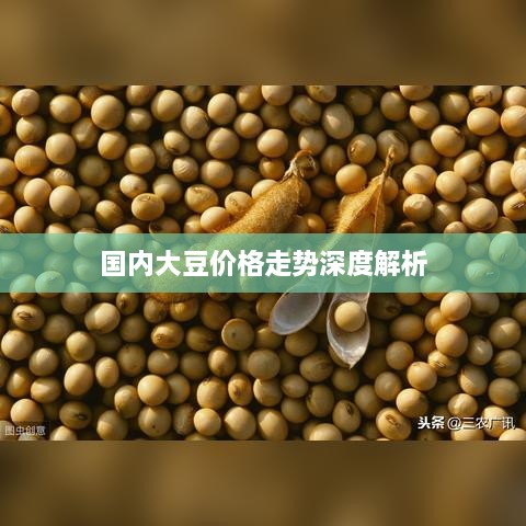 国内大豆价格走势深度解析