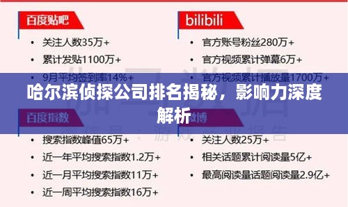 哈尔滨侦探公司排名揭秘，影响力深度解析