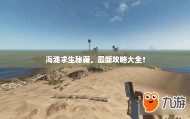 海滩求生秘籍，最新攻略大全！