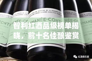 智利红酒品级榜单揭晓，前十名佳酿鉴赏