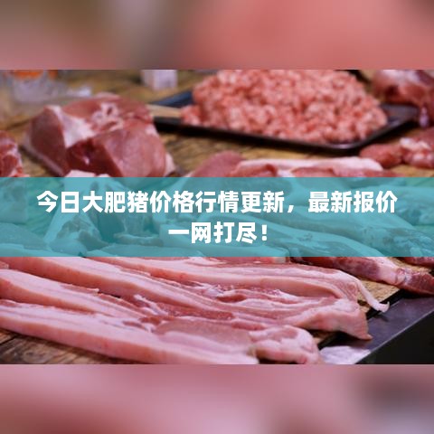 今日大肥猪价格行情更新，最新报价一网打尽！
