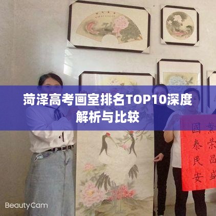 菏泽高考画室排名TOP10深度解析与比较