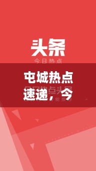 屯城热点速递，今日头条最新消息汇总