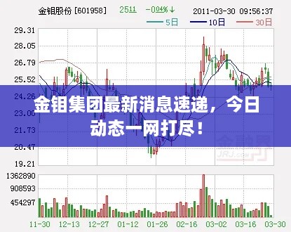 金钼集团最新消息速递，今日动态一网打尽！
