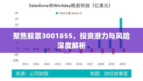 聚焦股票3001855，投资潜力与风险深度解析