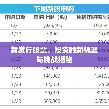 新发行股票，投资的新机遇与挑战揭秘