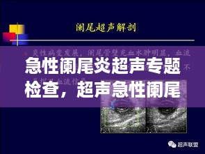 优惠券 第27页