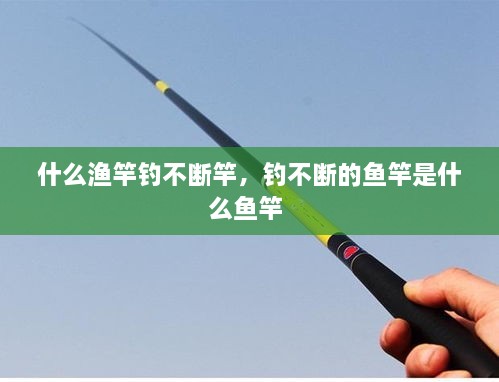 什么渔竿钓不断竿，钓不断的鱼竿是什么鱼竿 