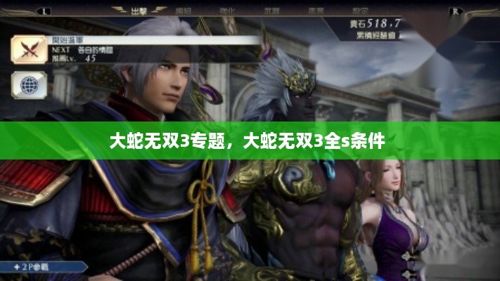 大蛇无双3专题，大蛇无双3全s条件 