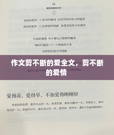 全部产品 第20页