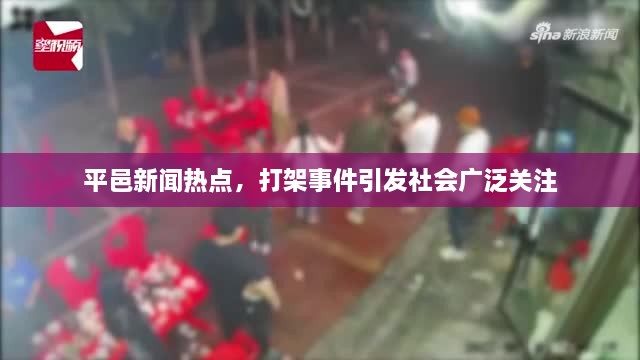平邑新闻热点，打架事件引发社会广泛关注