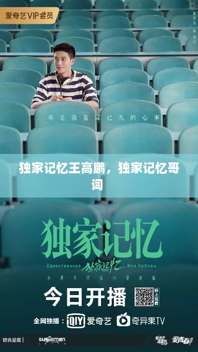 独家记忆王高鹏，独家记忆哥词 