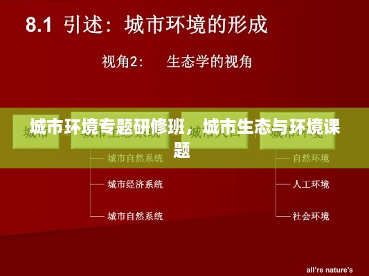 百灵鸟 第19页