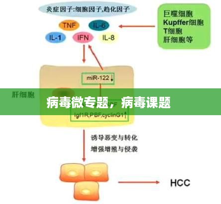 病毒微专题，病毒课题 