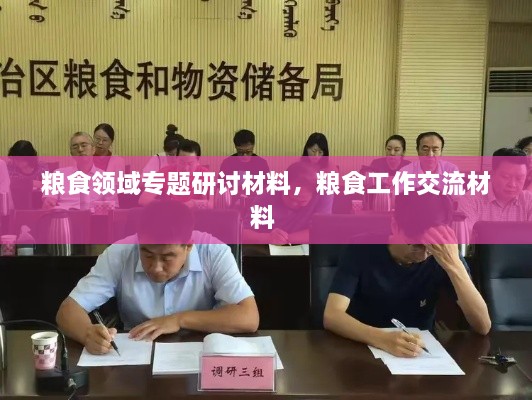 粮食领域专题研讨材料，粮食工作交流材料 