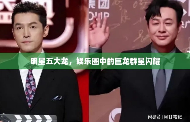 明星五大龙，娱乐圈中的巨龙群星闪耀