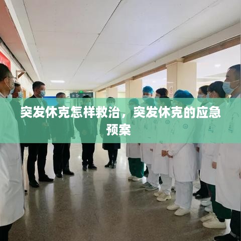 企业动态 第17页