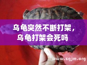 全部产品 第13页