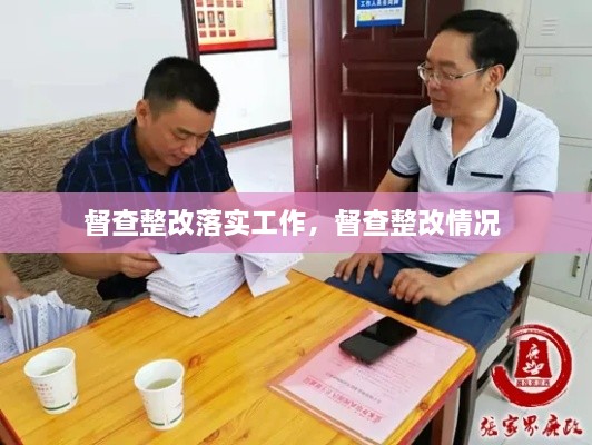 督查整改落实工作，督查整改情况 