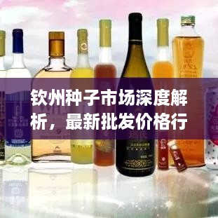 钦州种子市场深度解析，最新批发价格行情一网打尽