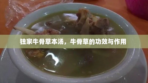 浅笑轻吟梦一曲