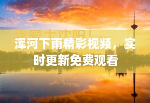 全部产品 第12页
